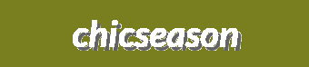 Trendy Fashion for Every Season